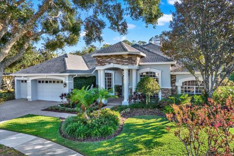 A home in LAND O LAKES