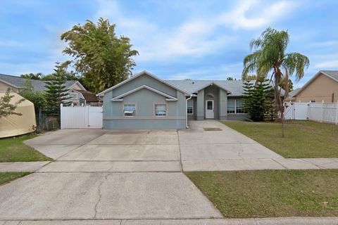 233 RED MAPLE DRIVE KISSIMMEE FL 34743