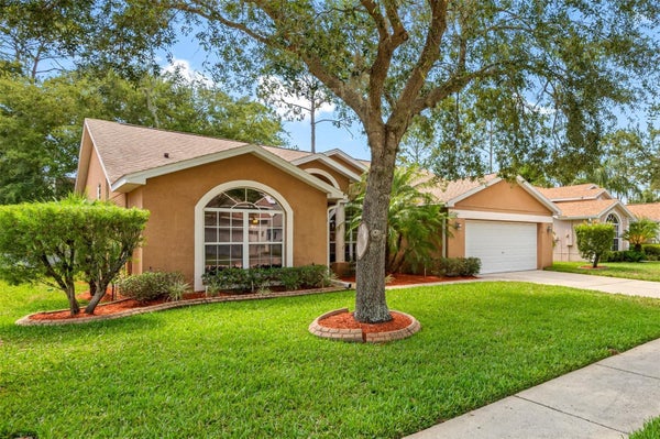 5619 WALKINGSTICK LN, WESLEY CHAPEL, FL 33543 - Image 1845eaac89cc47c8dc6f3e69908628d5/3979514002