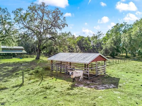 Tiny photo for 4430 Cr 542h, Bushnell, FL 33513 (MLS # OM718968)