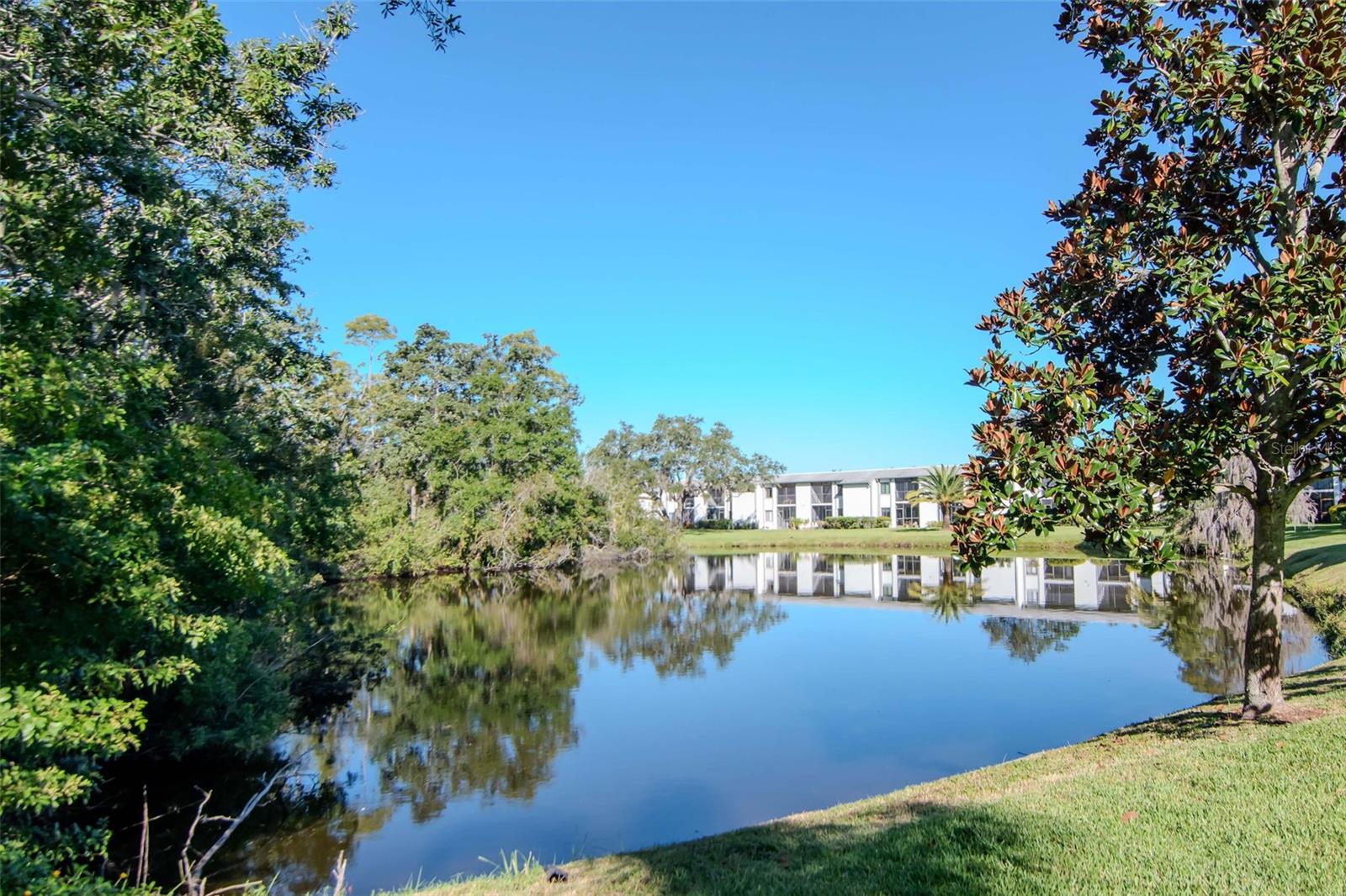 EAST LAKE WOODLANDS WOODLAKE RUN - Residential