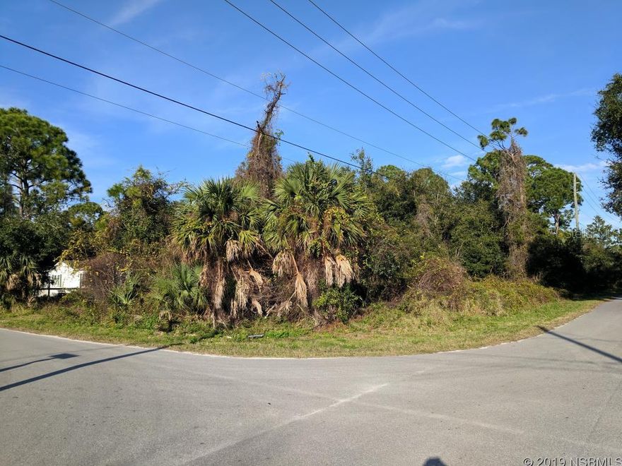 Nice size corner lot in a quiet but convenient Edgewater location. 1/2 mile from Edgewater Publix shopping center. Zoned for manufactured homes or single family.; Cleared: No ;Water: Holding Tank