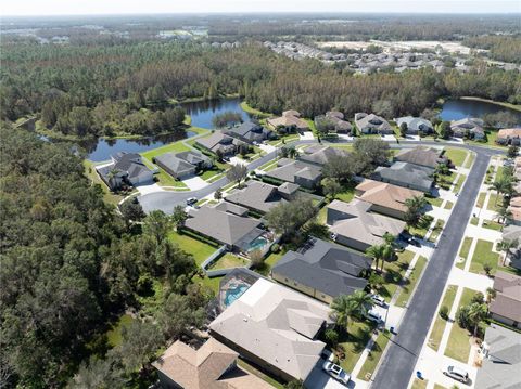 A home in WESLEY CHAPEL