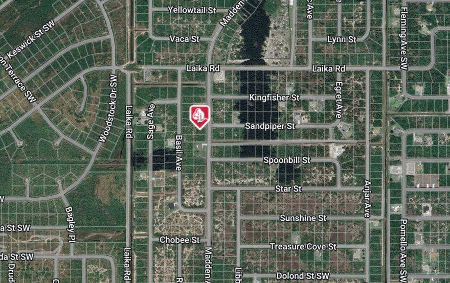 Don't miss this incredible opportunity to own a vacant lot in beautiful Palm Bay, just minutes from the beach! This prime piece of land is perfect for building your dream home or investment property in a growing community. Enjoy the best of Florida living with easy access to shopping, dining, parks, and top-rated schools. Whether you're looking for a peaceful retreat or a smart investment, this lot offers endless potential. No HOA and conveniently located near major highways for easy travel. Secure your slice of paradise today!