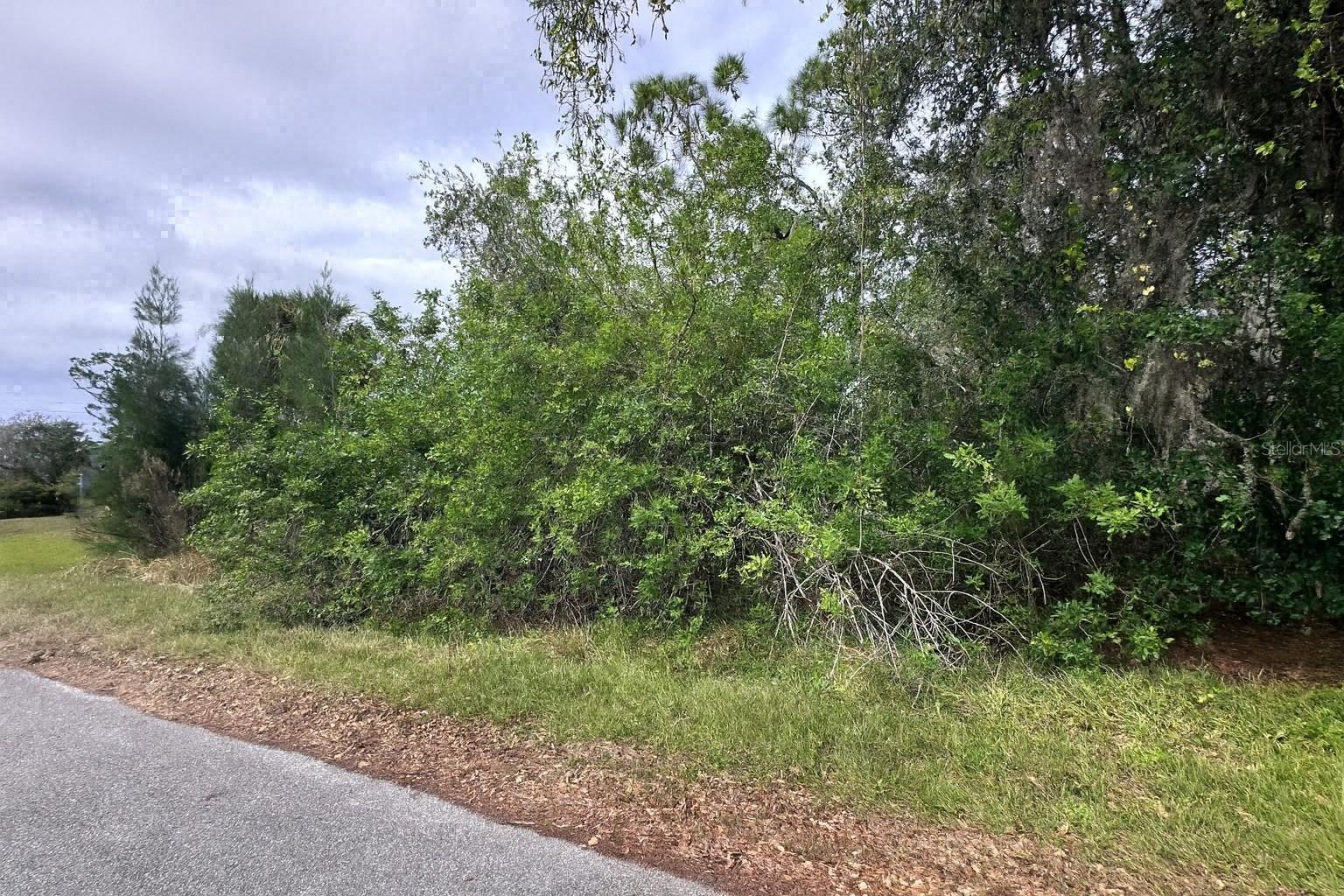 Vacant residential lot in Port Charlotte! Build your dream home or invest in one of the fastest growing areas of Southwest Florida. Lot size 80x125 (0.23 acres). Public water and sewer available (buyer to verify with Charlotte County). No HOA. Buyer responsible for verifying zoning, usage, and any title requirements.