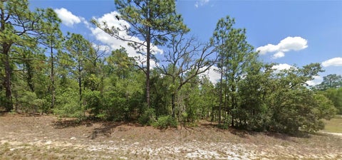 Photo of 9857 N Lathyrus Terrace, Dunnellon, FL 34433 (MLS # O6420852)