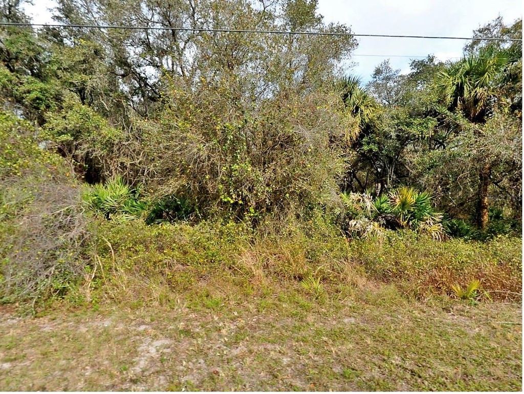 Photo of Fling Ave., North Port, FL 34291 (MLS # A4692868)