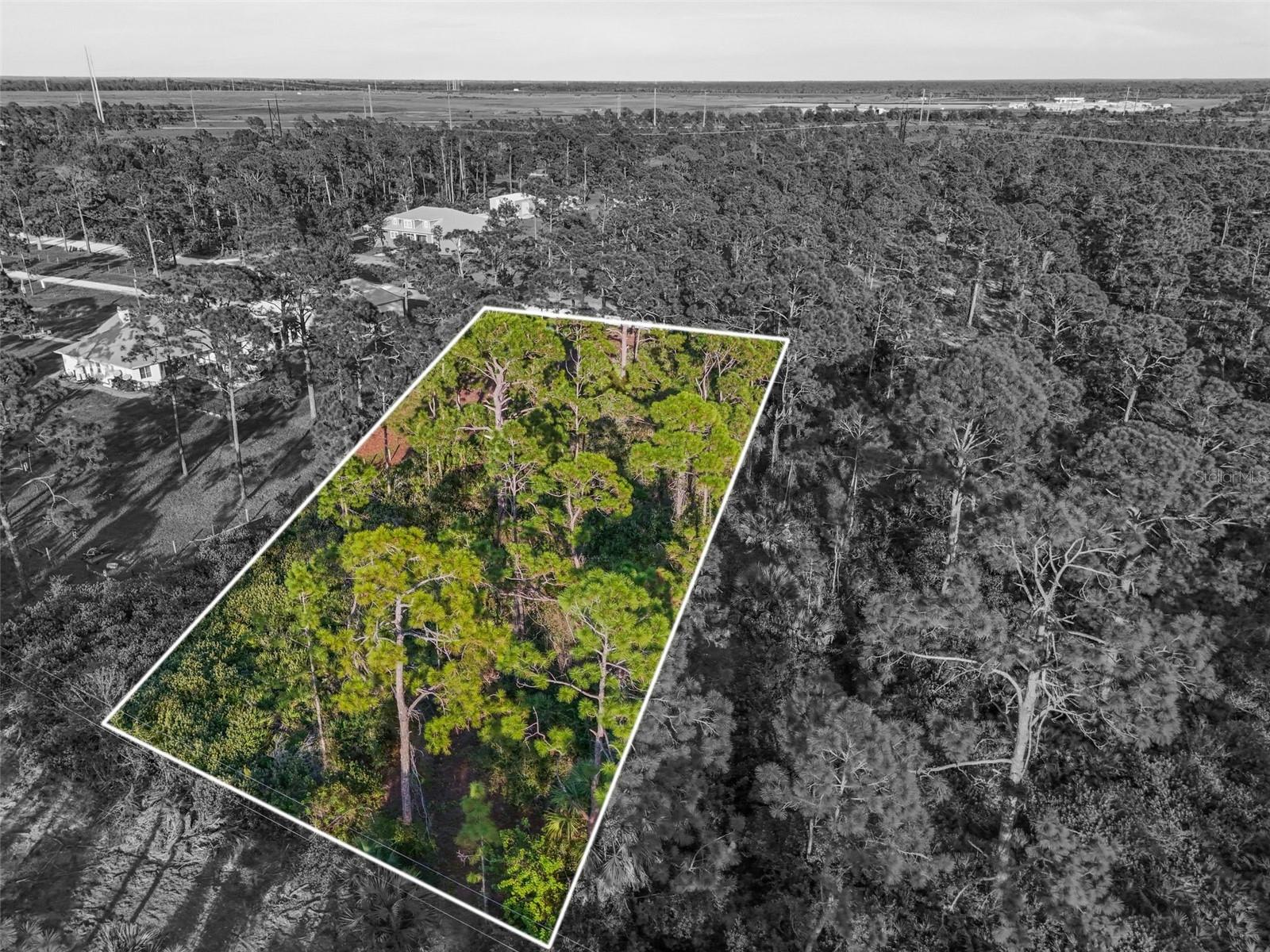 7123 SWEDEN BOULEVARD