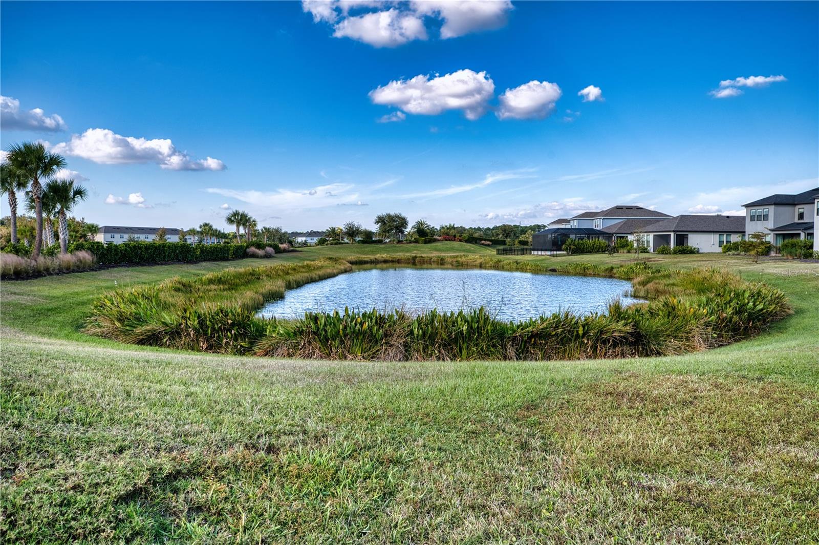 CASSIA AT SKYE RANCH - Residential