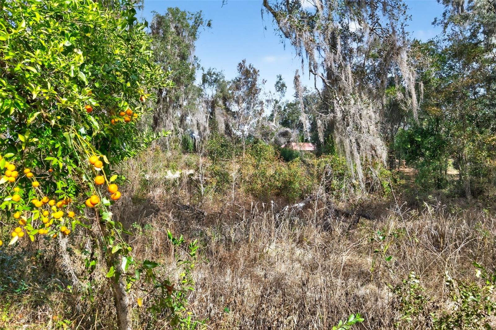 NELSON R O UNREC - Residential