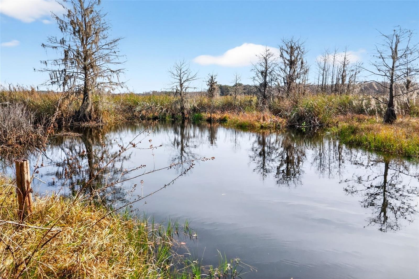 NELSON R O UNREC - Residential