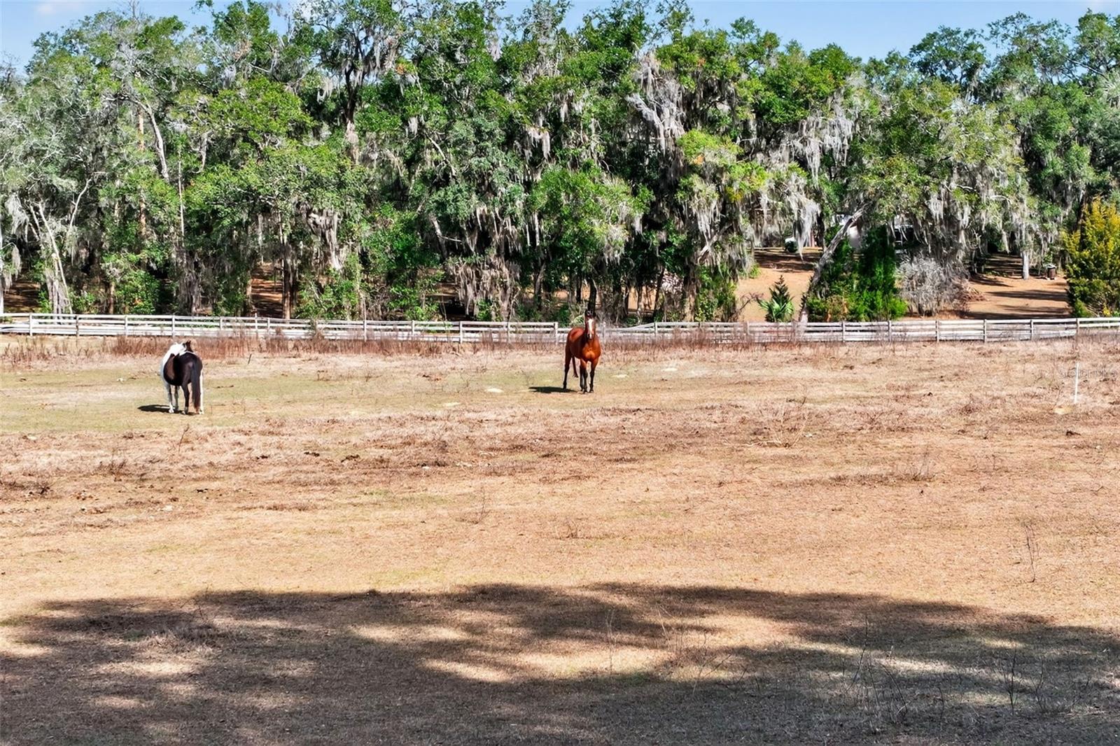 NELSON R O UNREC - Residential