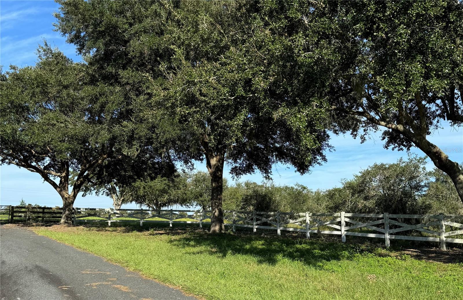 New “HARMONY ESTATES” has convenient access to The Villages with 2-minute drive for shopping, restaurants, medical and entertainment. This 12.28 acre property is just one of six 11-13+ Acre Country Parcels which could be combined. NO HOA, fees and NO wetlands. Cleared, improved pastureland with paved road frontage and protective covenants. Zoned A-1 for gardens and farm animals. If you are looking for a peaceful, yet convenient place to build a dream home, this is for you! Owner financing available.