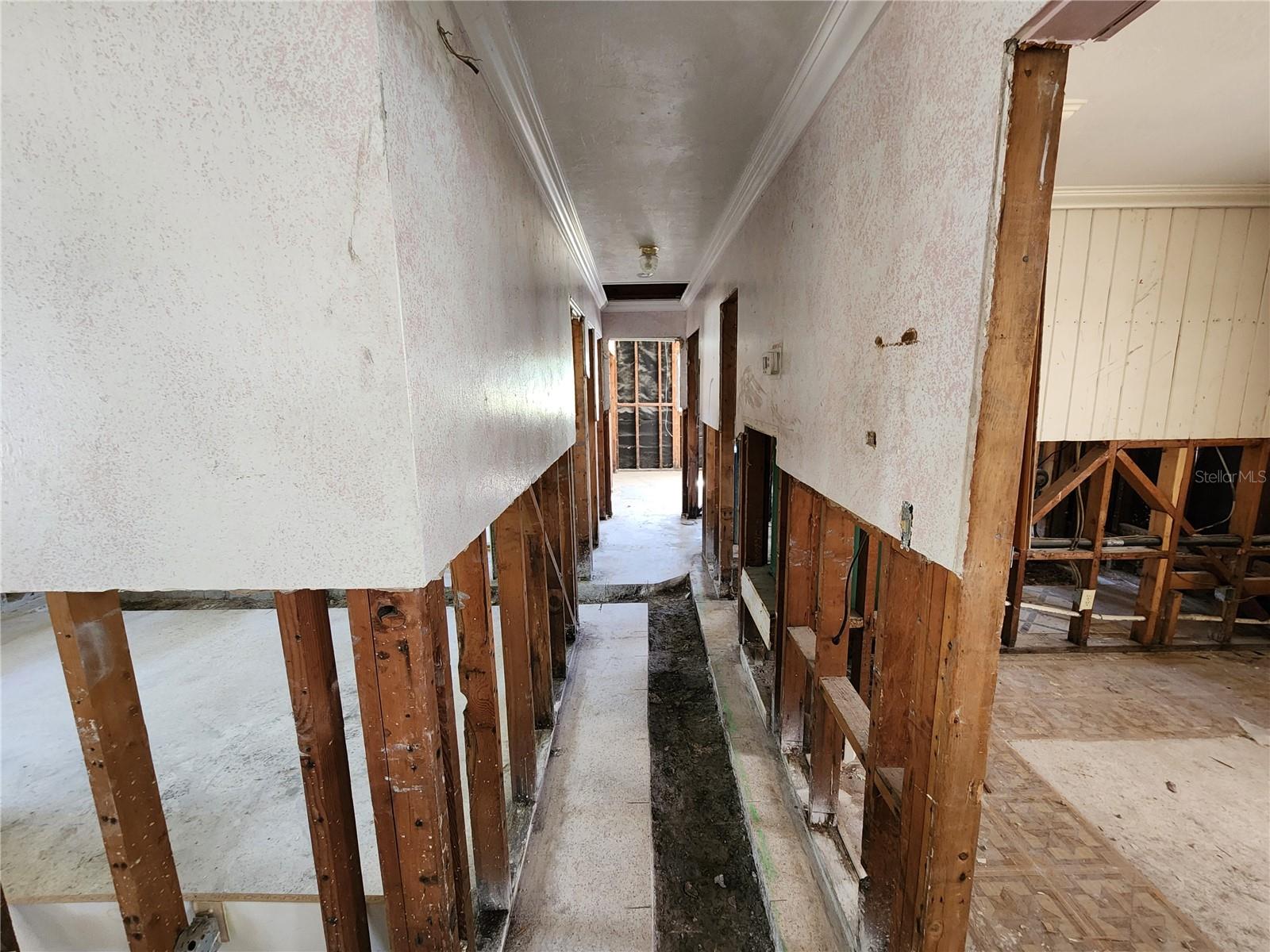 BELLEVUE TERRACE REV - Residential