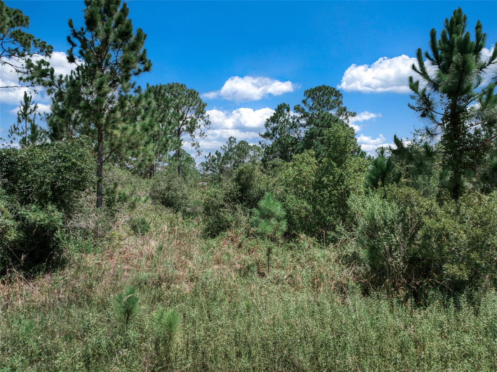 LEISURE LAKES SEC 17 - Land