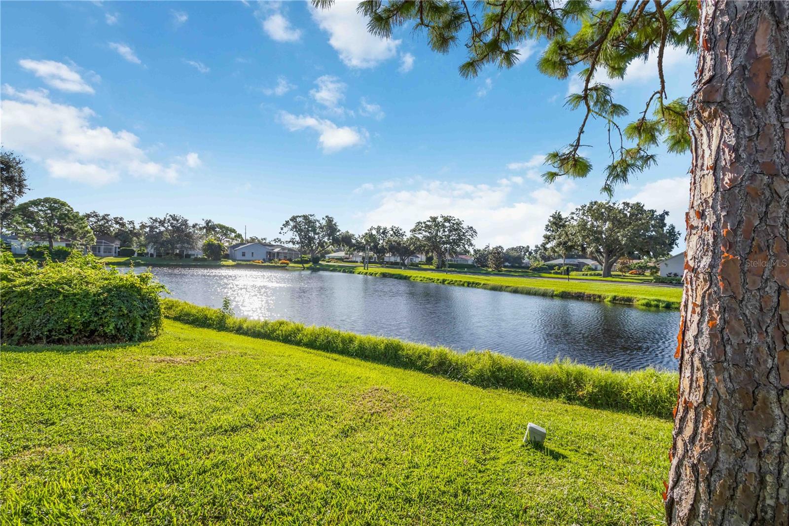 STONEYBROOK AT PALMER RANCH - Residential