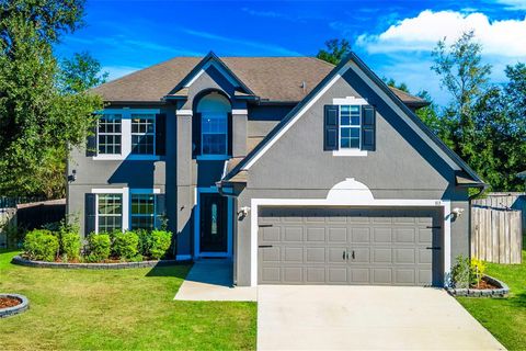 Photo of 713 SW 242nd Terrace, Newberry, FL 32669 (MLS # GC534607)