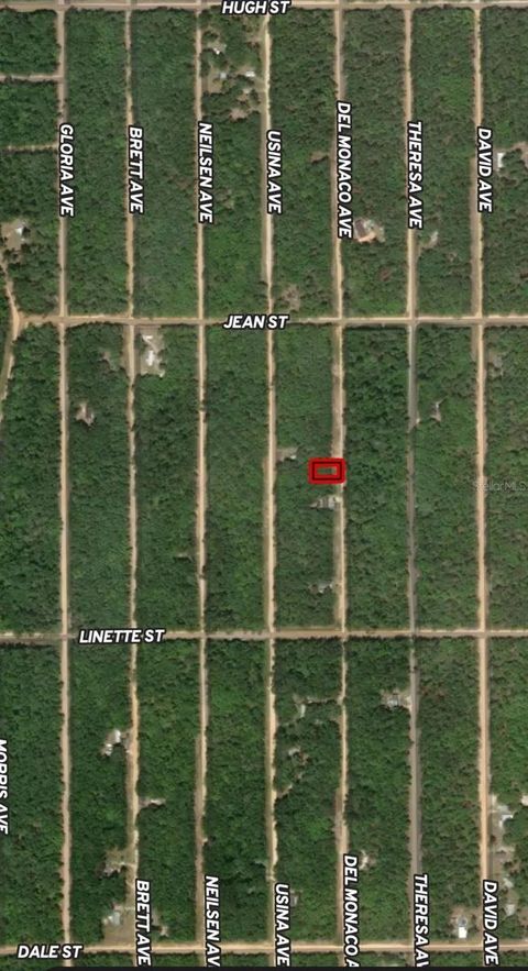 LOT 28 DEL MONACO AVENUE INTERLACHEN FL 32148
