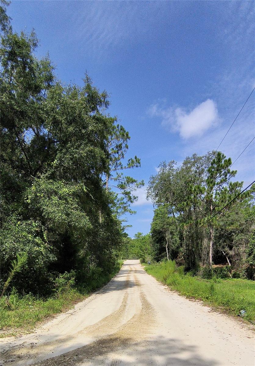 LAKE MARGARET EST - Land