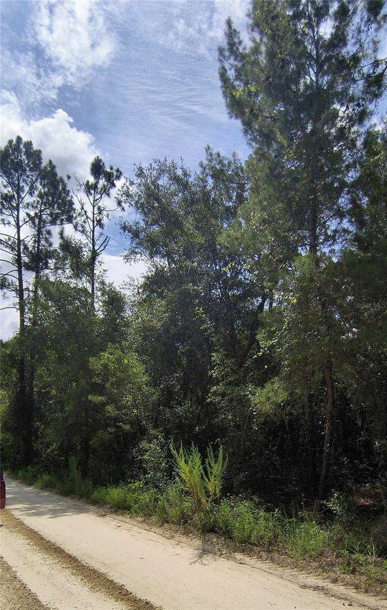 LAKE MARGARET EST - Land