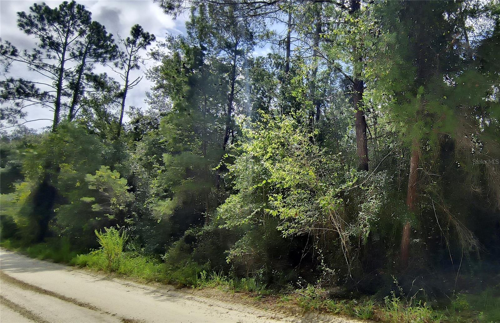 LAKE MARGARET EST - Land