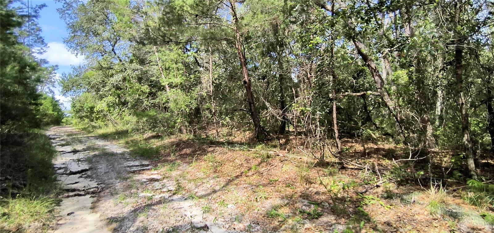 LAKE MARGARET EST - Land