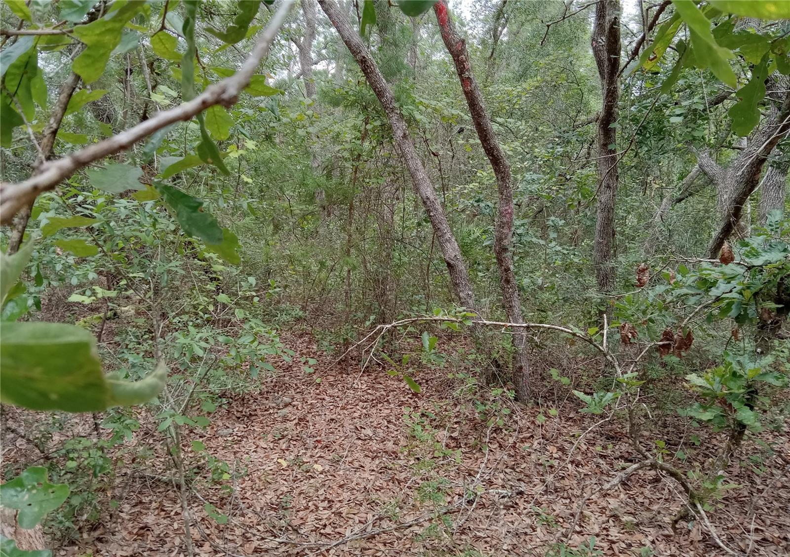 LAKE MARGARET EST - Land