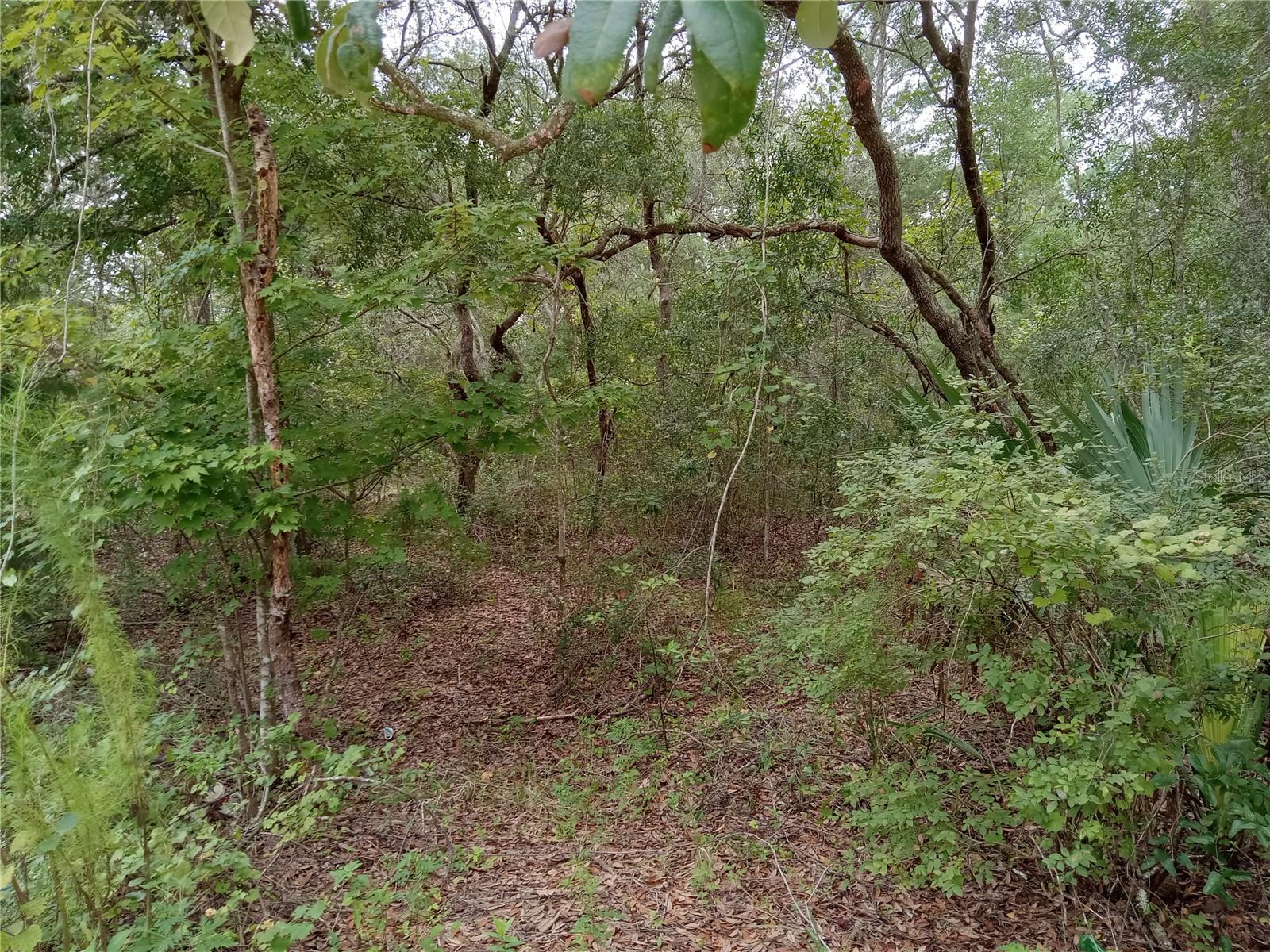 LAKE MARGARET EST - Land