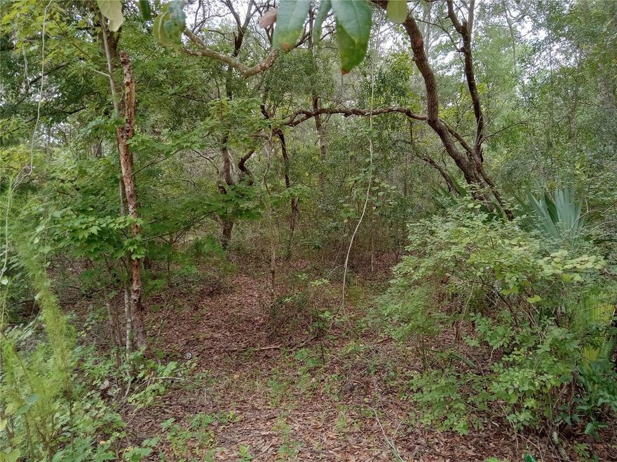 1.10 ACRES OF UNTOUCHED LAND WAITING FOR YOU! Bring your ideas, build your dream home or manufactured home and make it reality! Property is flood zone X meaning it is high and dry. Located minutes from boat ramps, restaurants, Lake Broward, Dunn's Creek State Park, Crescent Lake, Lake George. Mud Springs, Palatka and the St. John's River. Less than an hour to Ormond Beach and Palm Coast. One hour to "World Famous" Daytona Beach, St. Augustine, Daytona State College, Stetson University, outlets, famous restaurants and more. Between 1-2 hours to Jacksonville, Orlando, Ocala and many famous attractions. Electric is by the lot but not on lot. Buyers are to do their due diligence on the property. Owner financing is available.