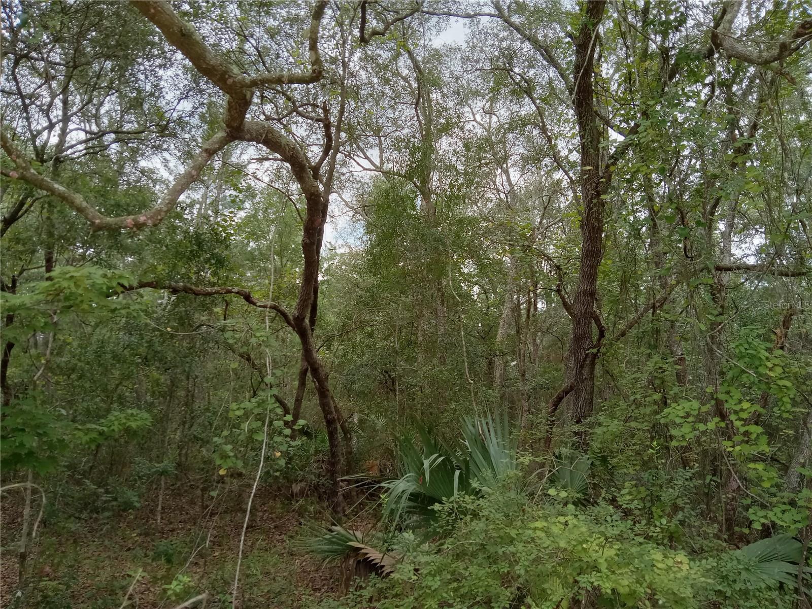 LAKE MARGARET EST - Land