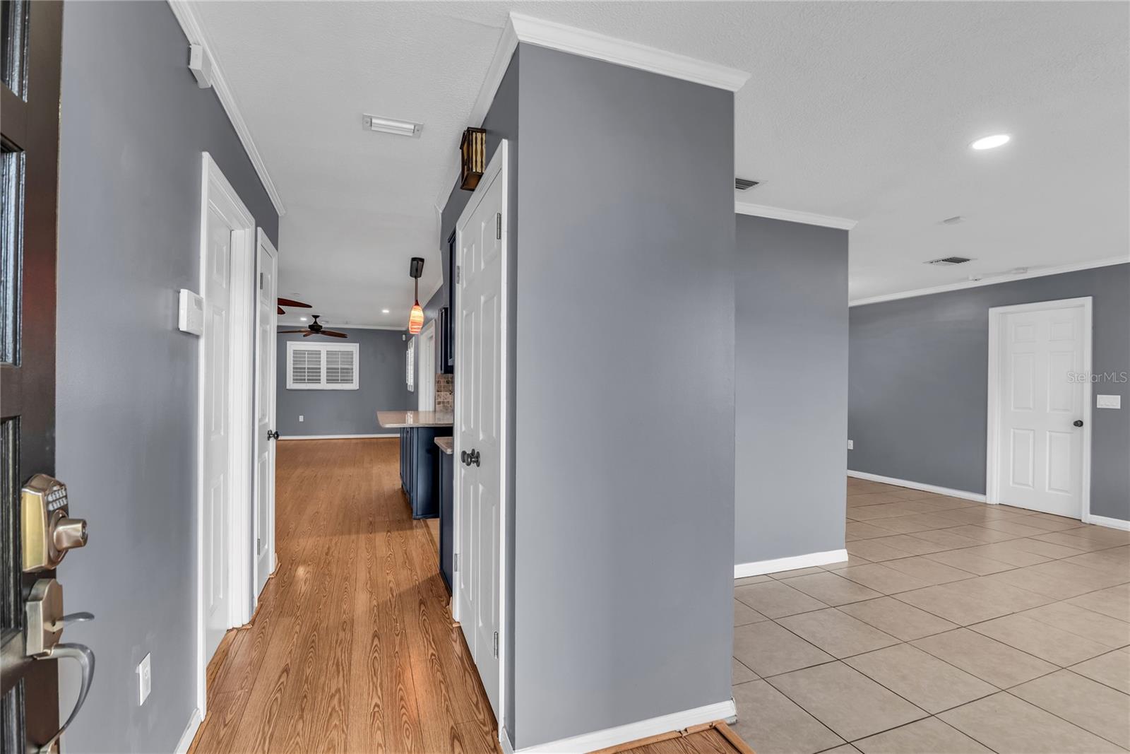 LAKE DORA PINES - Residential