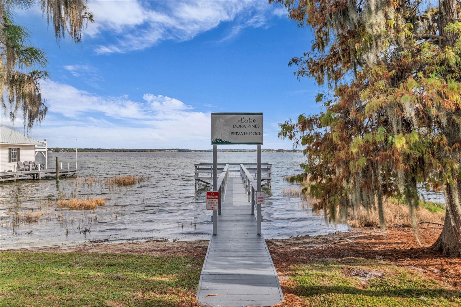 LAKE DORA PINES - Residential