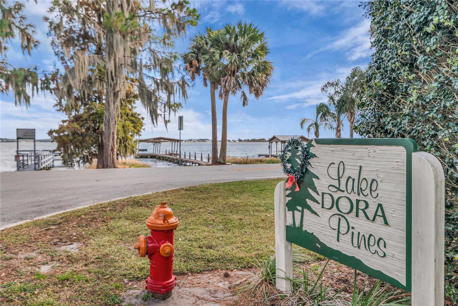 LAKE DORA PINES - Residential