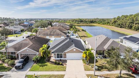 A home in WIMAUMA