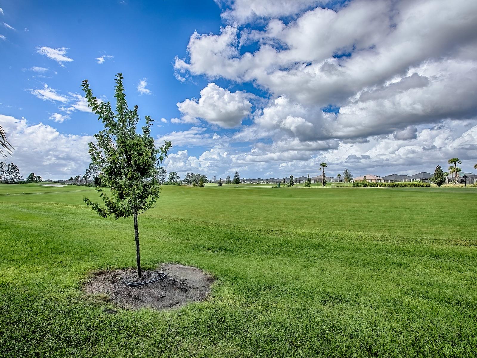 VILLAGES OF SOUTHERN OAKS - Residential