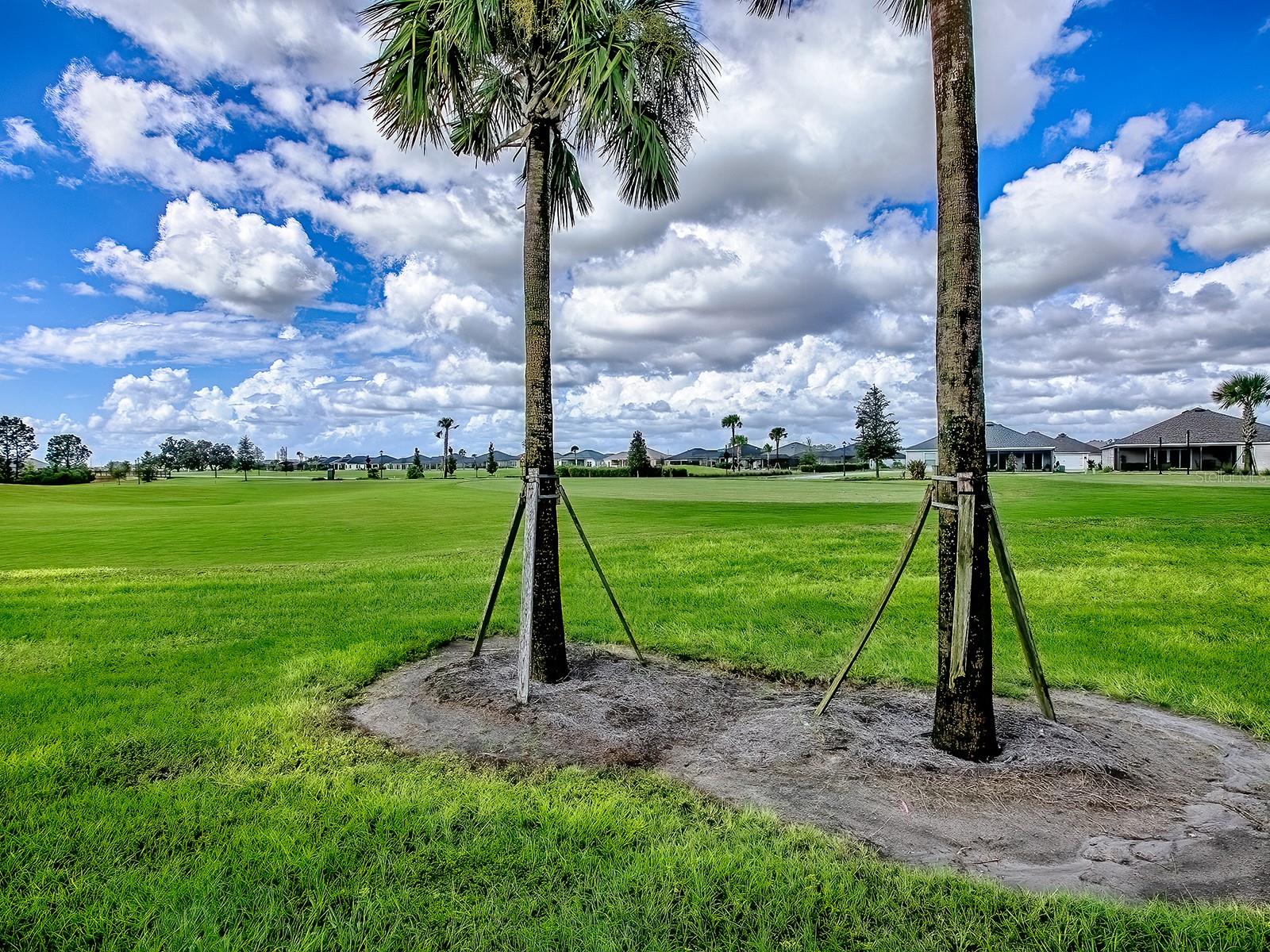 VILLAGES OF SOUTHERN OAKS - Residential