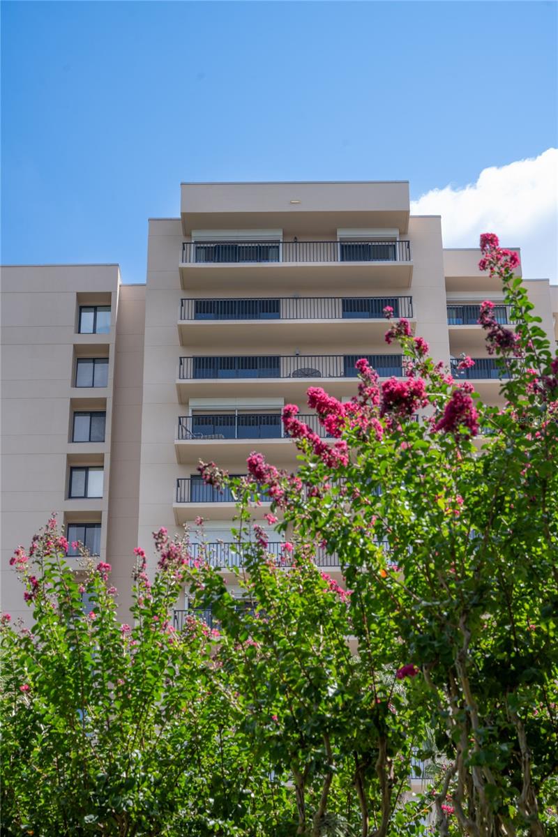 BAY VIEW RESERVE - Residential Lease