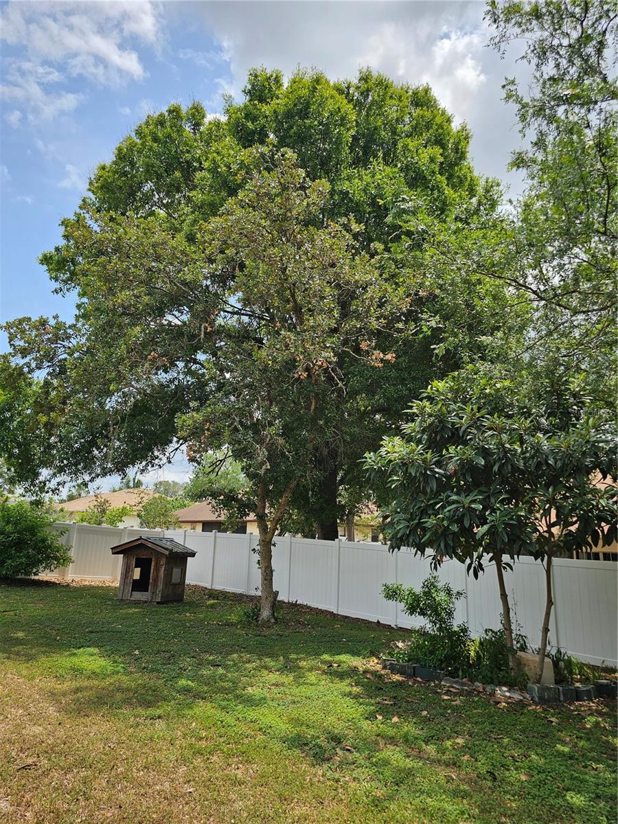 MAJESTIC OAKS SECOND ADD - Residential