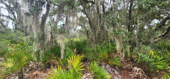 Photo 1 of 20 — 200 RED FOX DRIVE, SEBRING, FL 33876