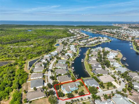 Photo of 613 Manns Harbor Drive, Apollo Beach, FL 33572 (MLS # TB8444128)
