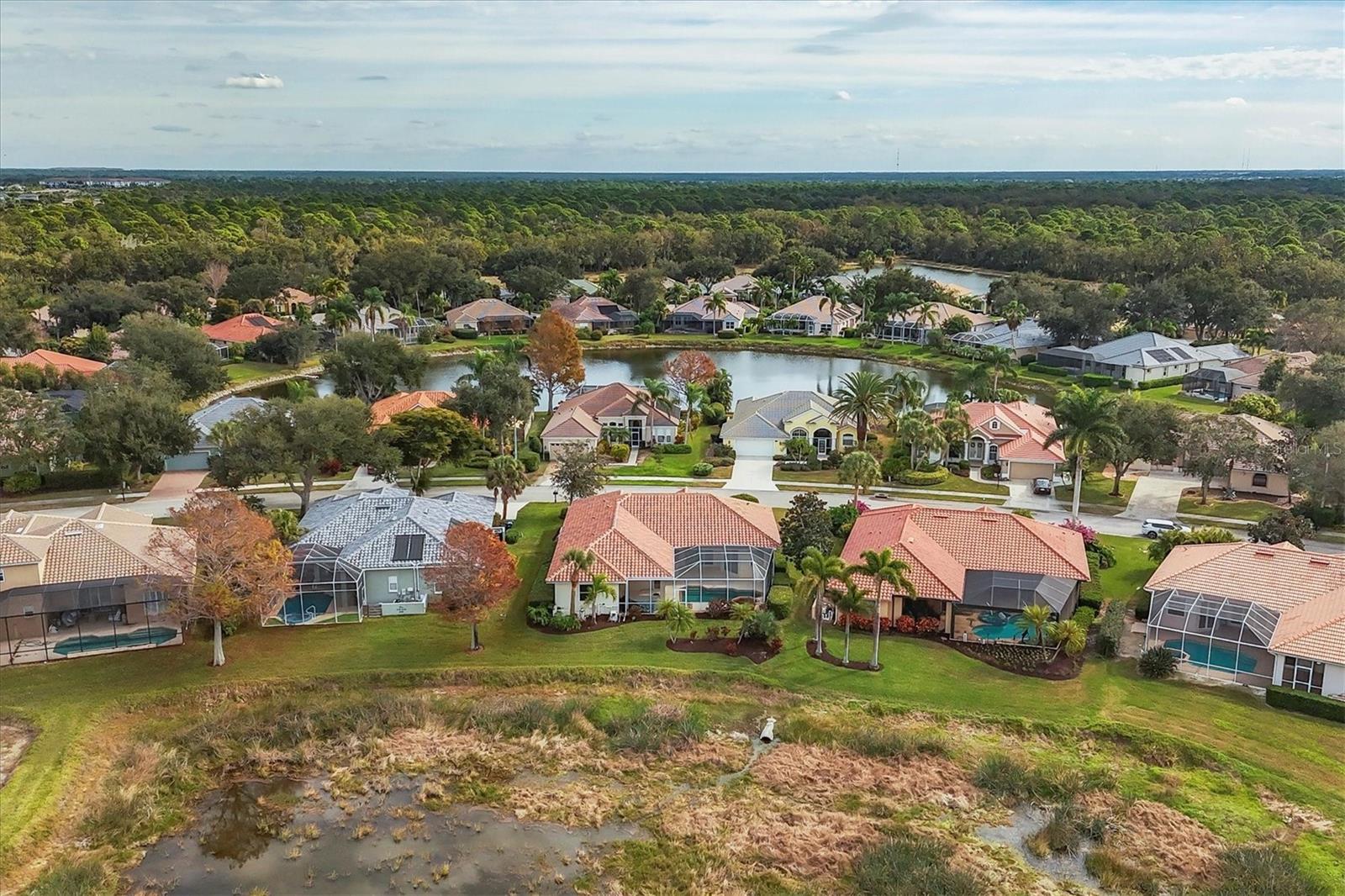 PARK TRACE ESTATES - Residential