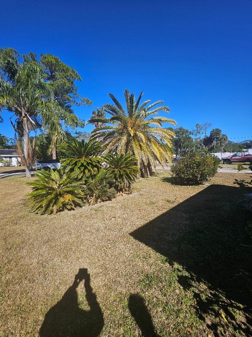 DAYTONA HIGHLANDS BLKS 07-61 - Residential