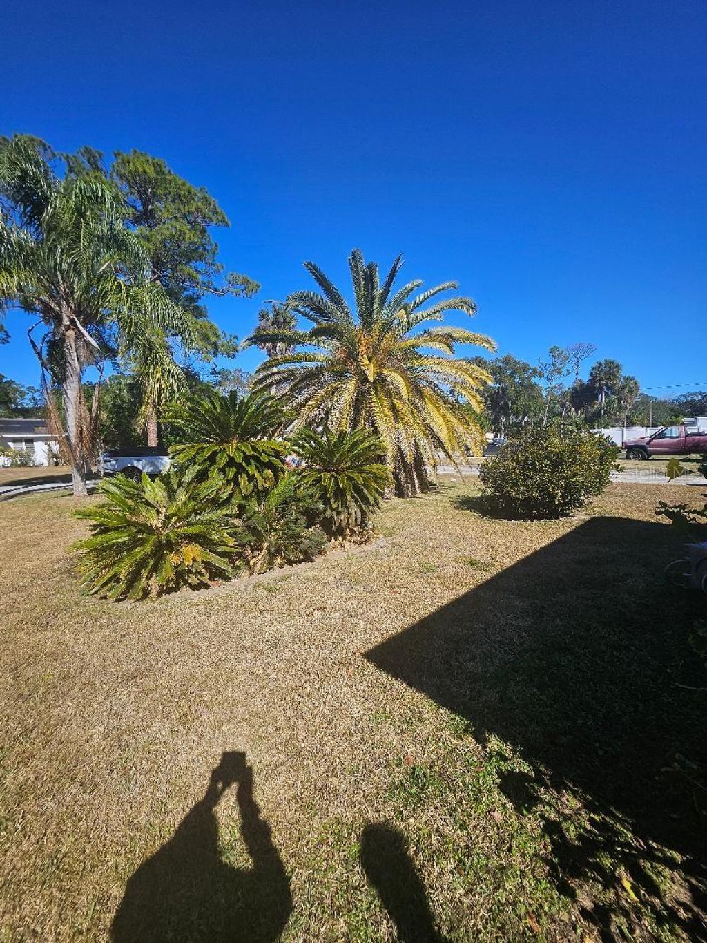 Photo of 1123 Australia Avenue, Daytona Beach, FL 32114 (MLS # O6375893)
