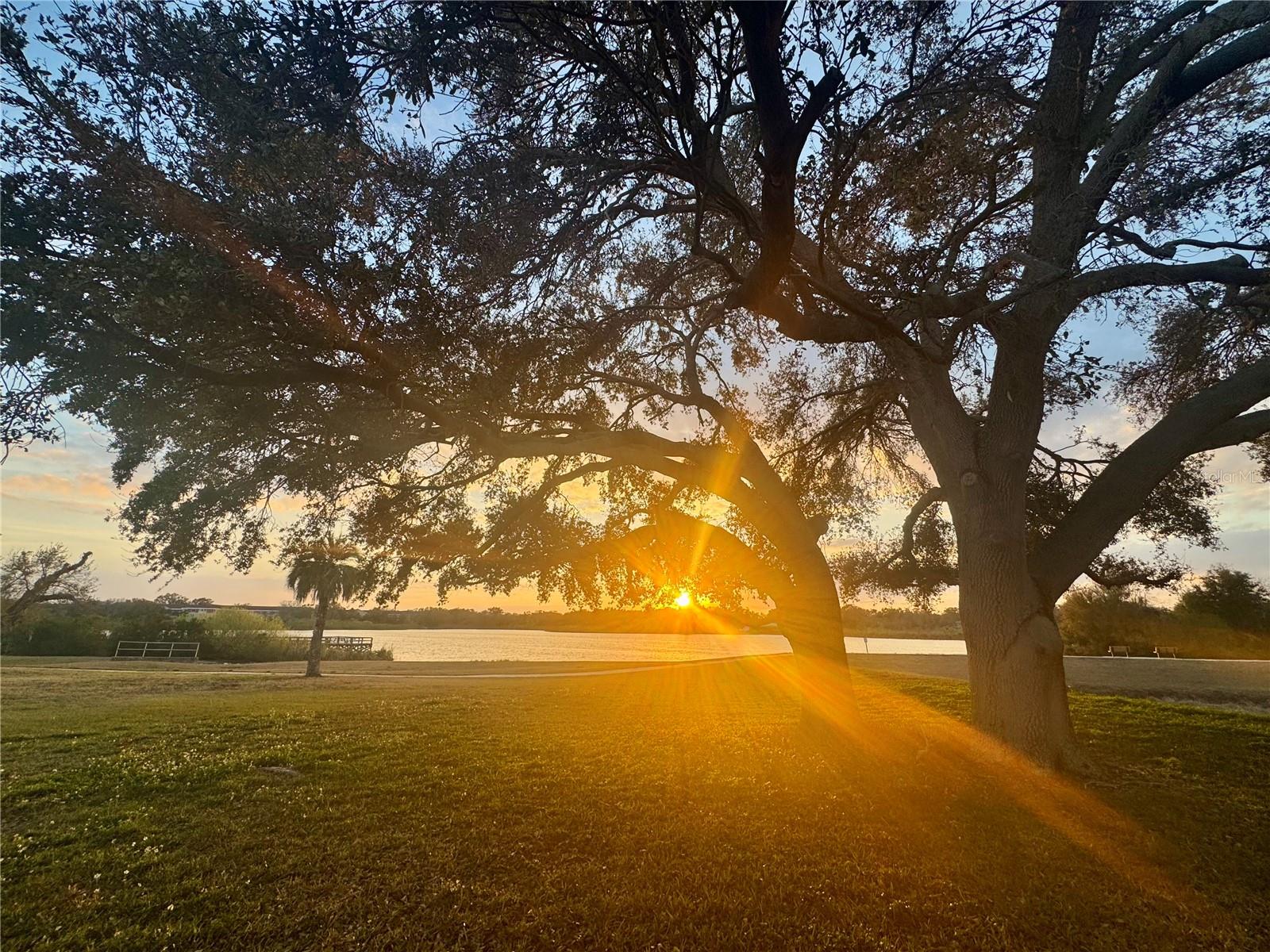 ON TOP OF THE WORLD - Residential