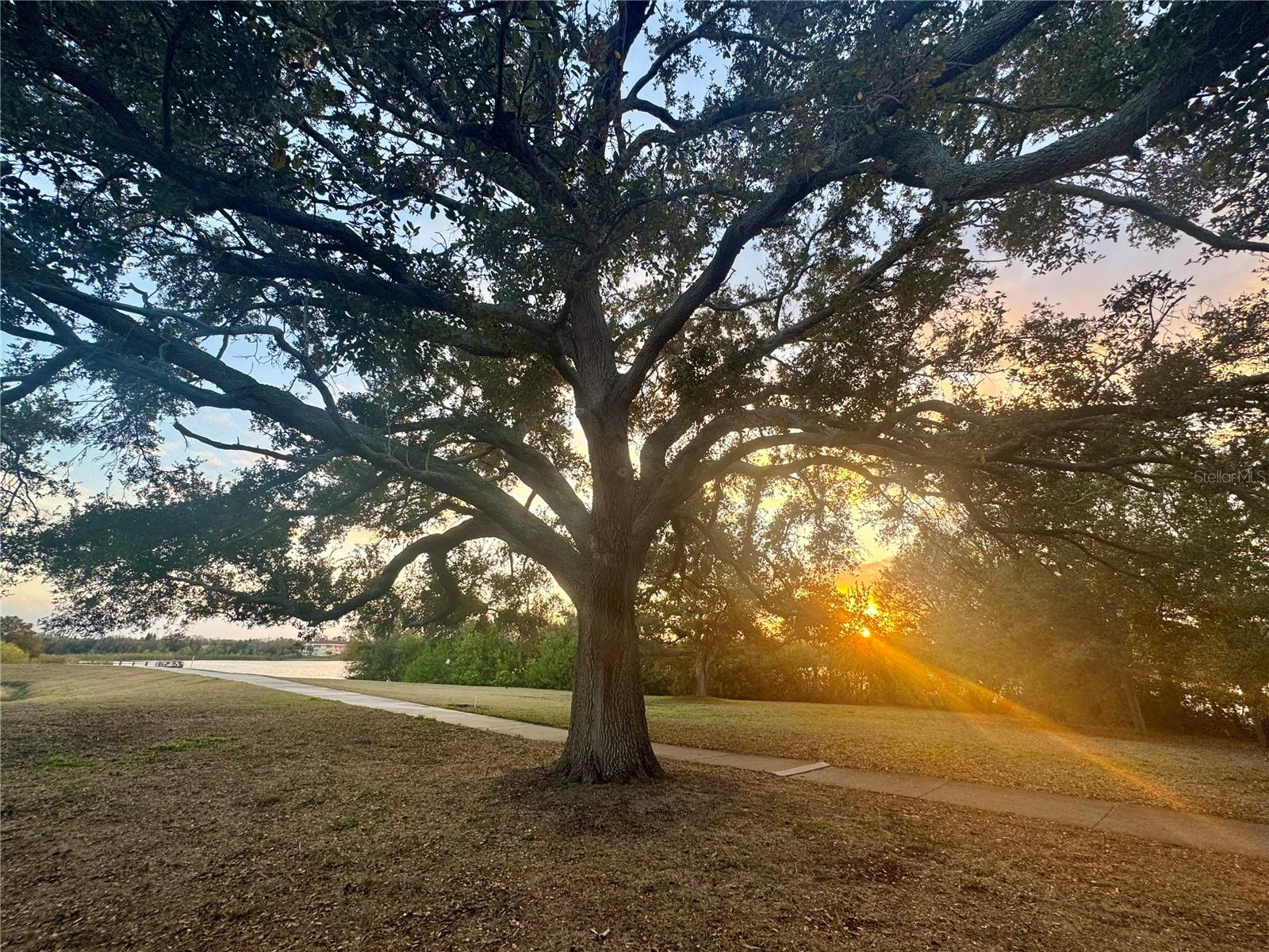 ON TOP OF THE WORLD - Residential