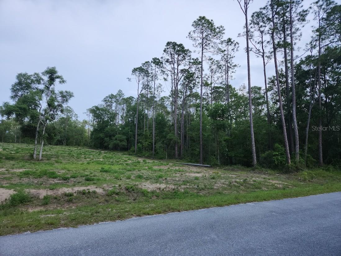 lot 24 SW HUNTER HILL AVENUE