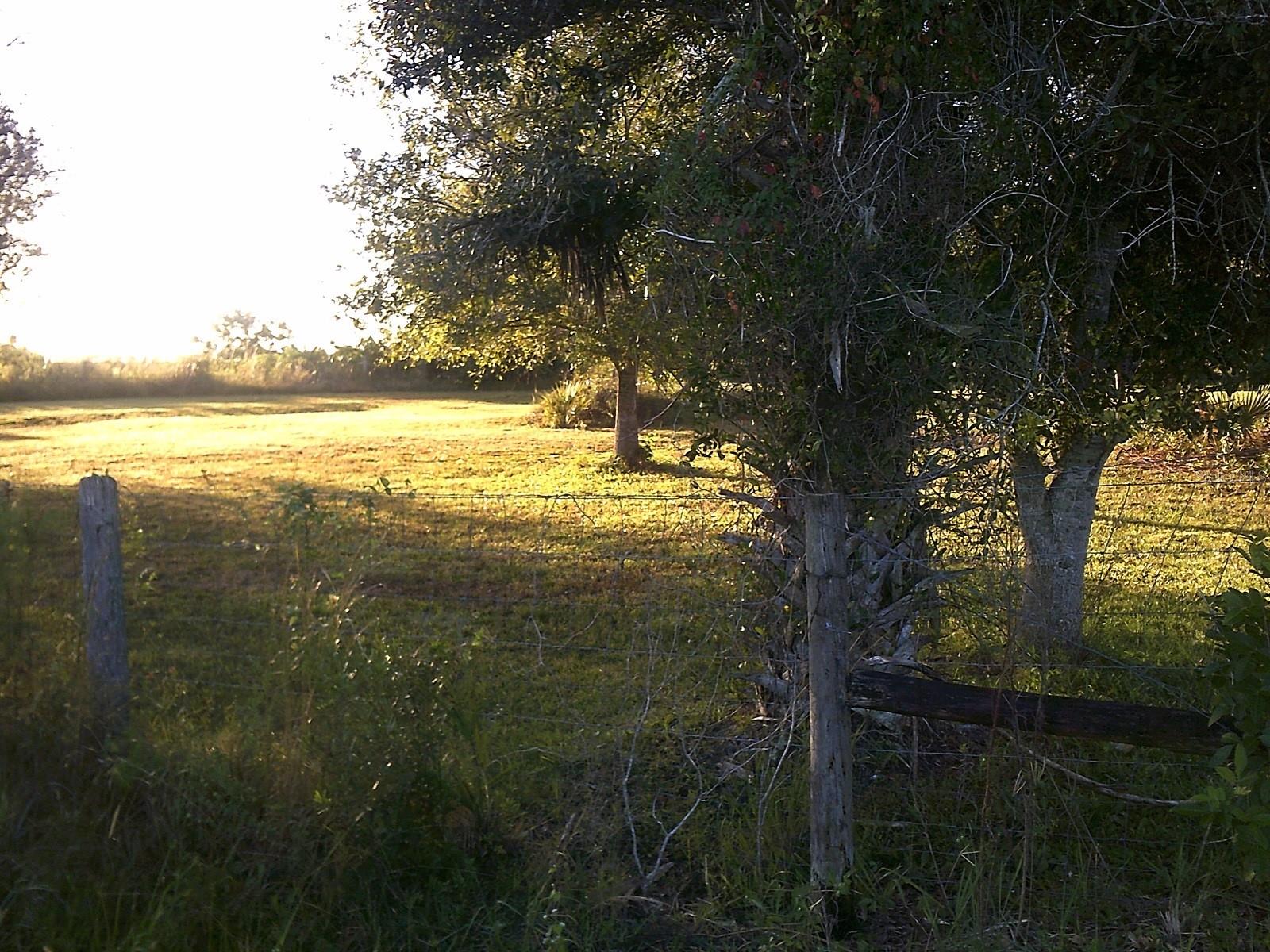 DIXIE RANCH ACRES - Land