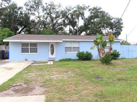3908 BEECHWOOD BOULEVARD TAMPA FL 33619