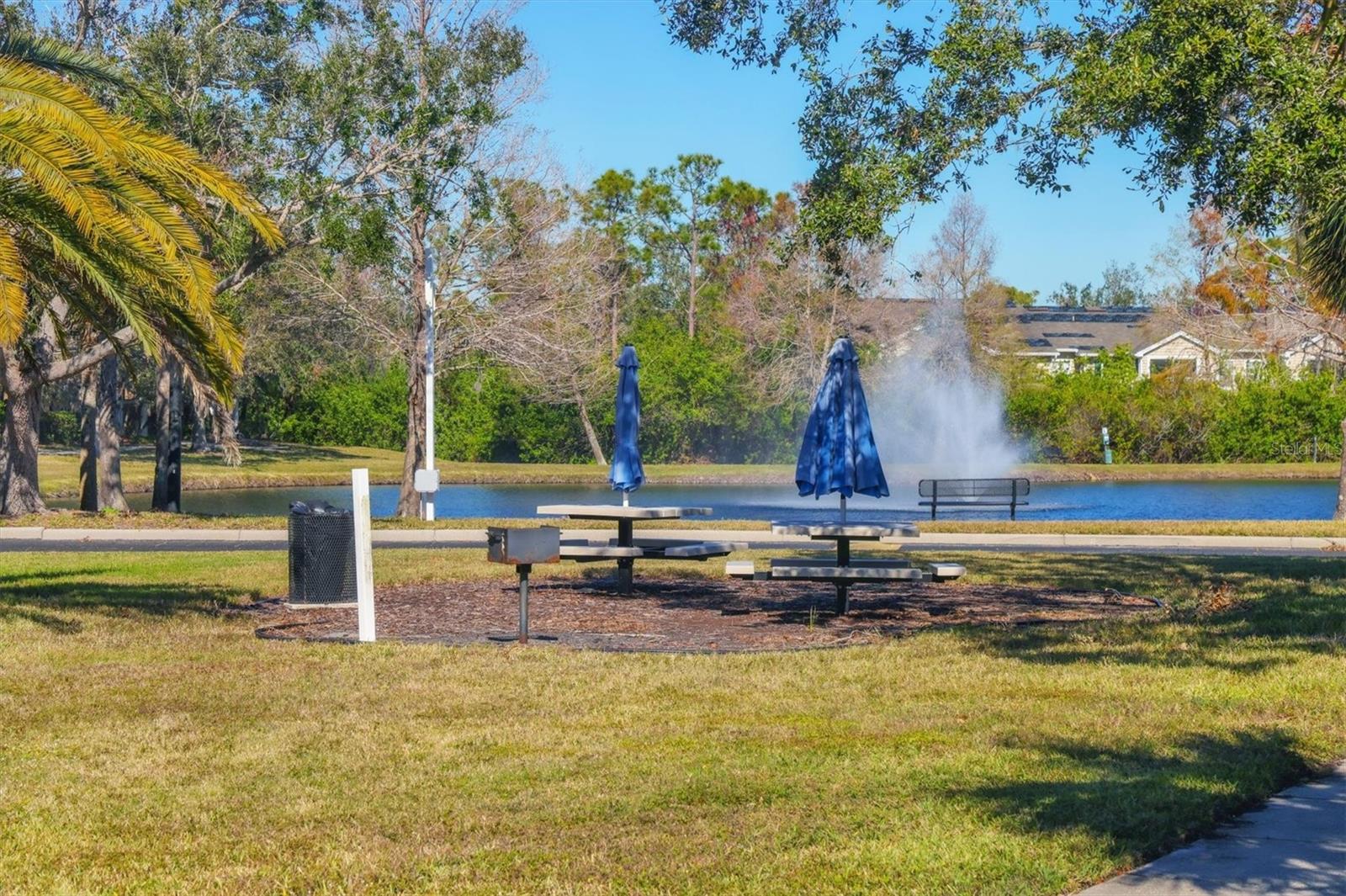 THE VILLAGE AT TOWNPARK - Residential