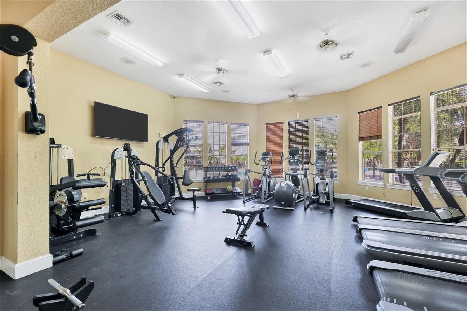 THE VILLAGE AT TOWNPARK - Residential